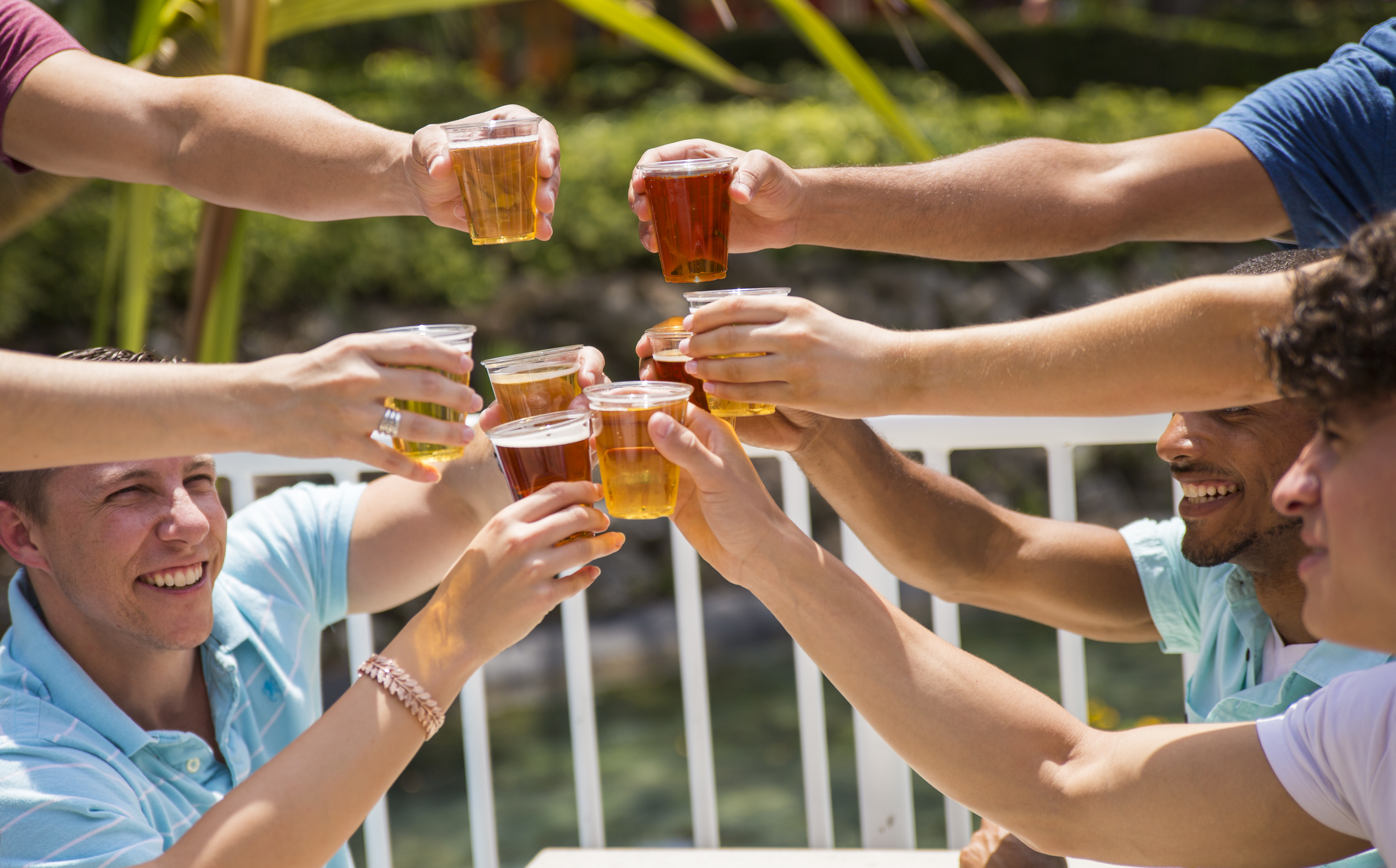 BIG NEWS ON BREWS! COMPLIMENTARY BEER EXTENDED AT BUSCH GARDENS TAMPA BAY!